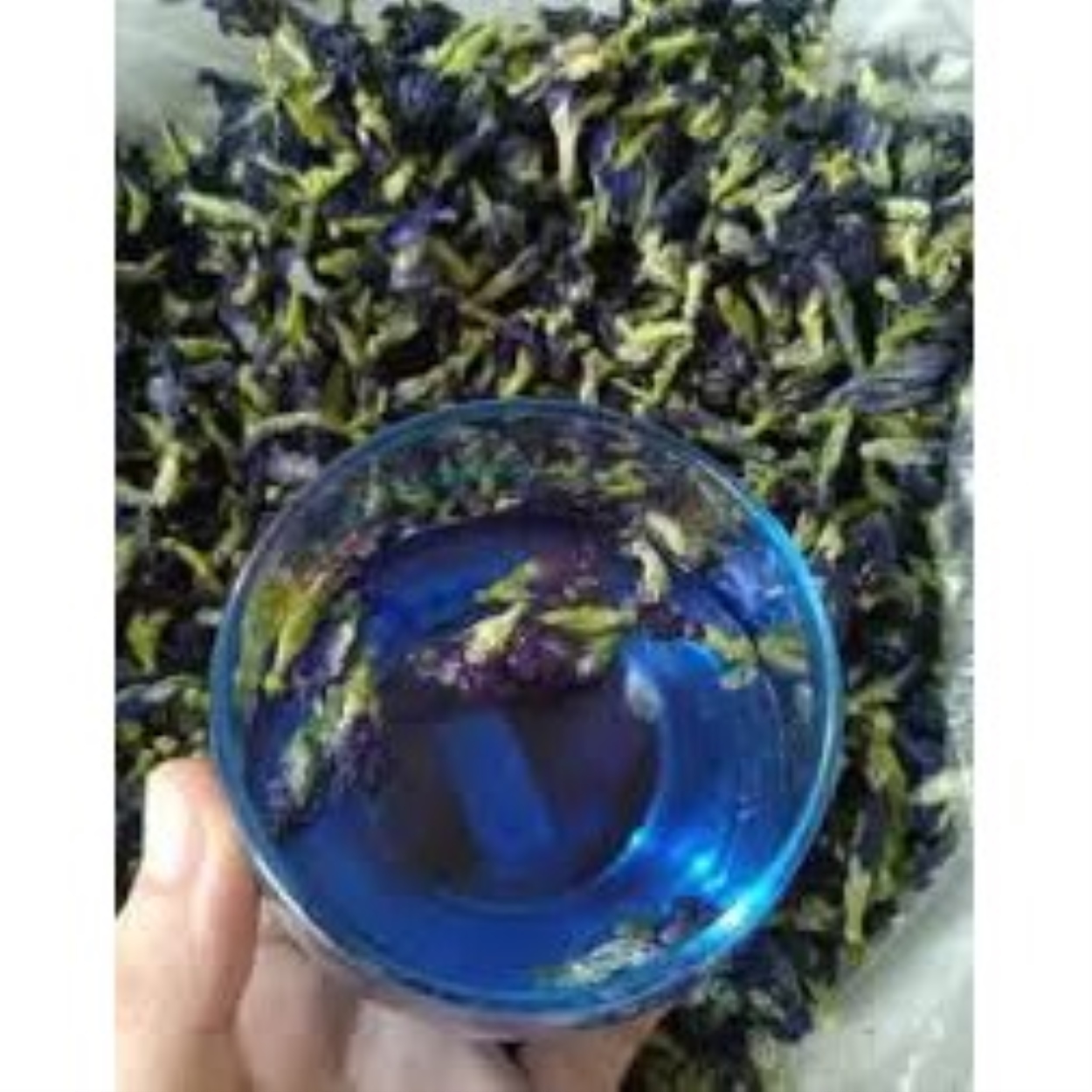 HOT SALE 200g hoa đậu biếc