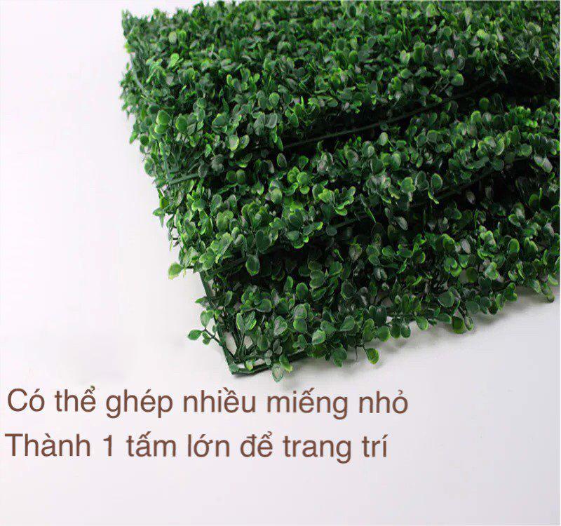 Thảm cỏ xoong nhân tạo 60x40cm