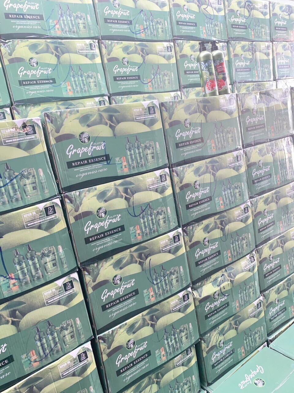 Cặp dầu gội xả bưởi kích mọc tóc Grapefruit.