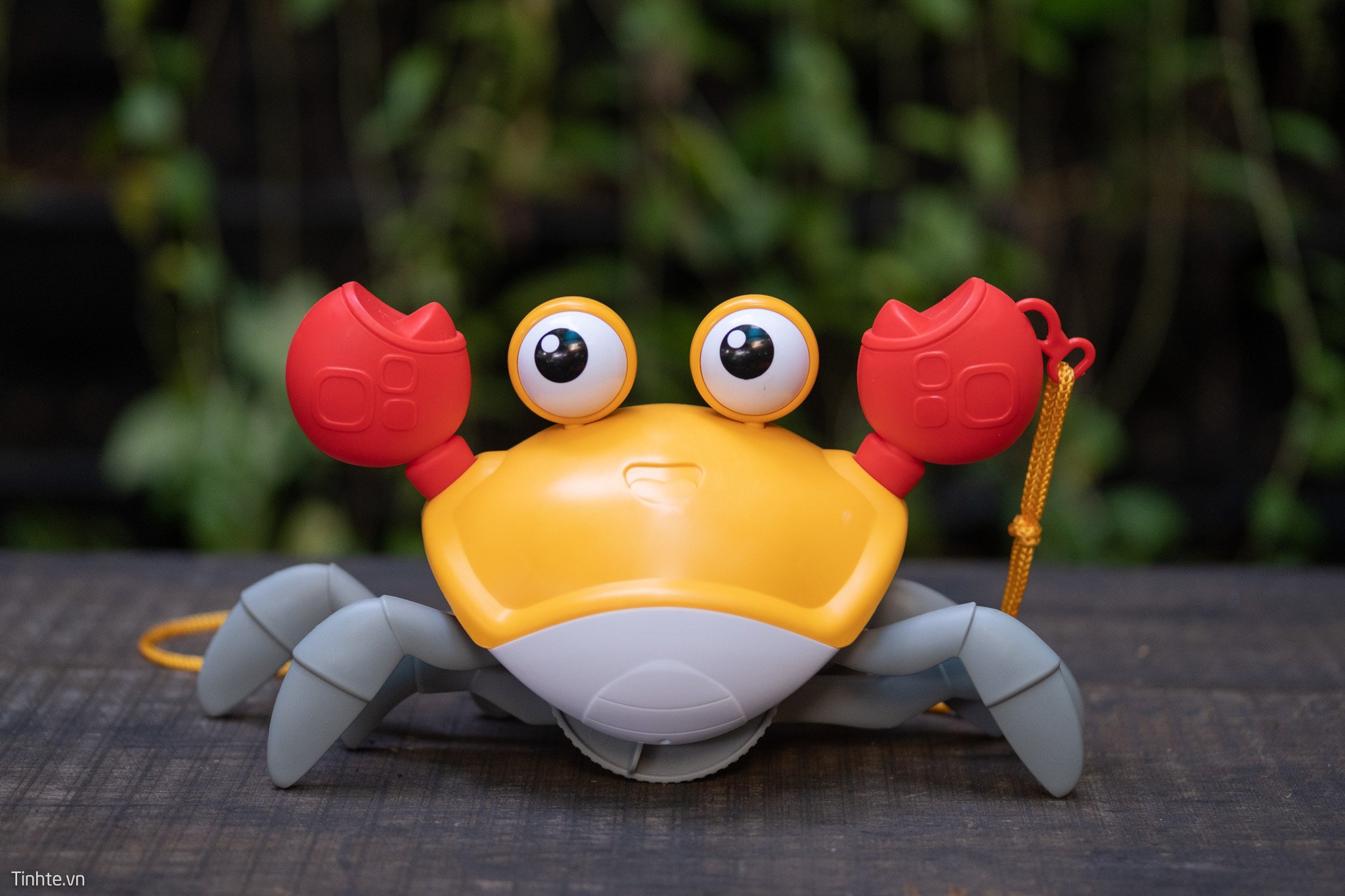 [HCM]Cua đồ chơi cho bé Siêu Cute