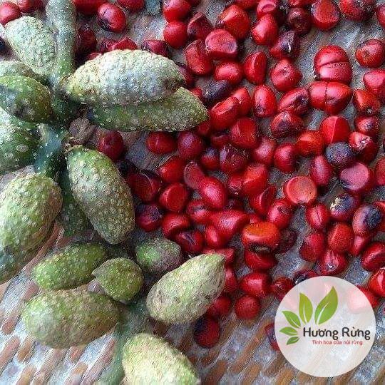 Combo 350g hạt mắc khén + 50g hạt dổi rừng Tây Bắc