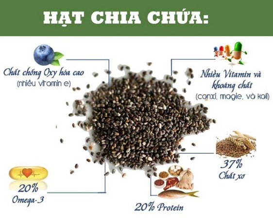 Hạt Chia Đen Hữu Cơ-ABSOLUTE ORGANIC CHIA SEED G1Kg