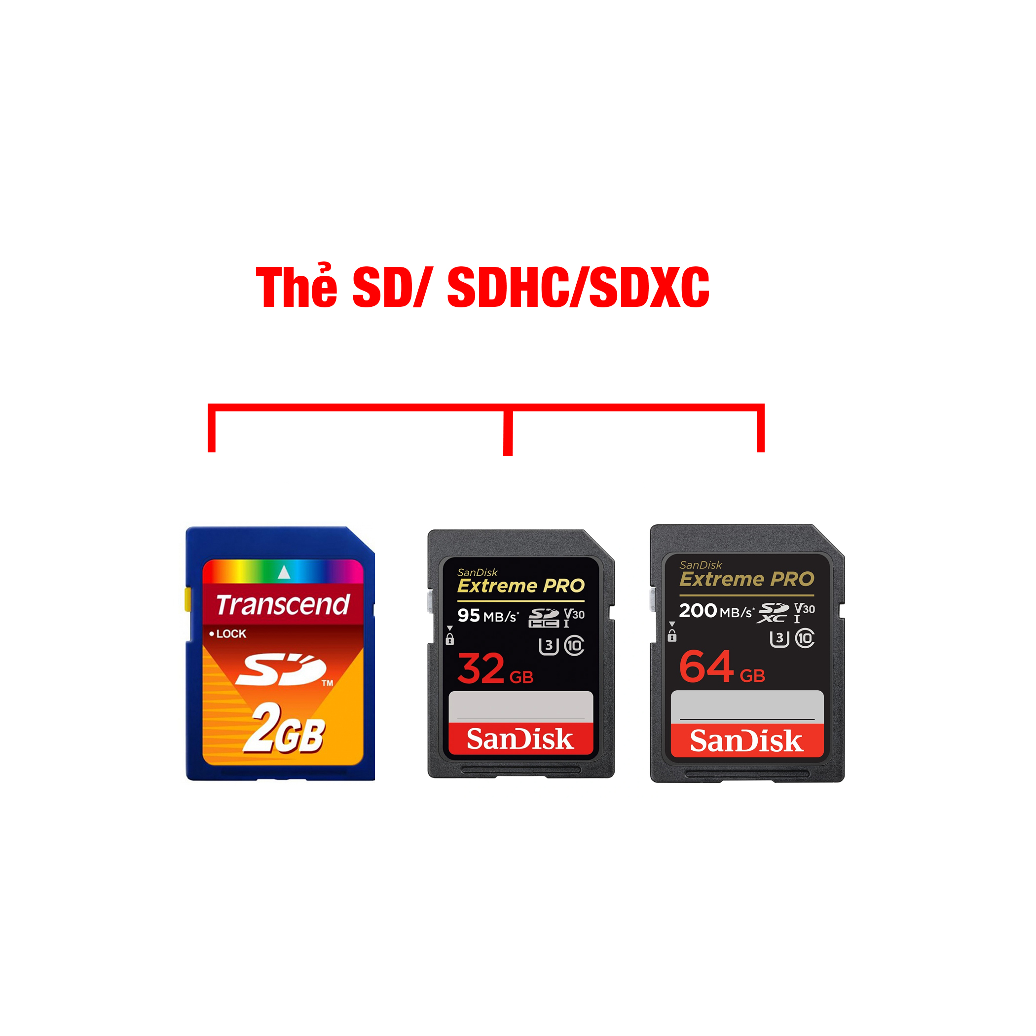 Đầu đọc thẻ nhớ Micro SD (TF), SD cho điện thoại Android Type C và IP "táo"
