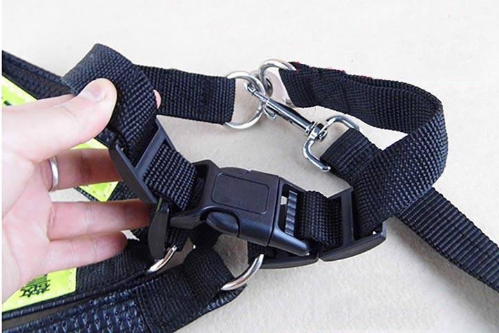 Xích chó Dây dắt cho chó kèm yếm bản 3cm