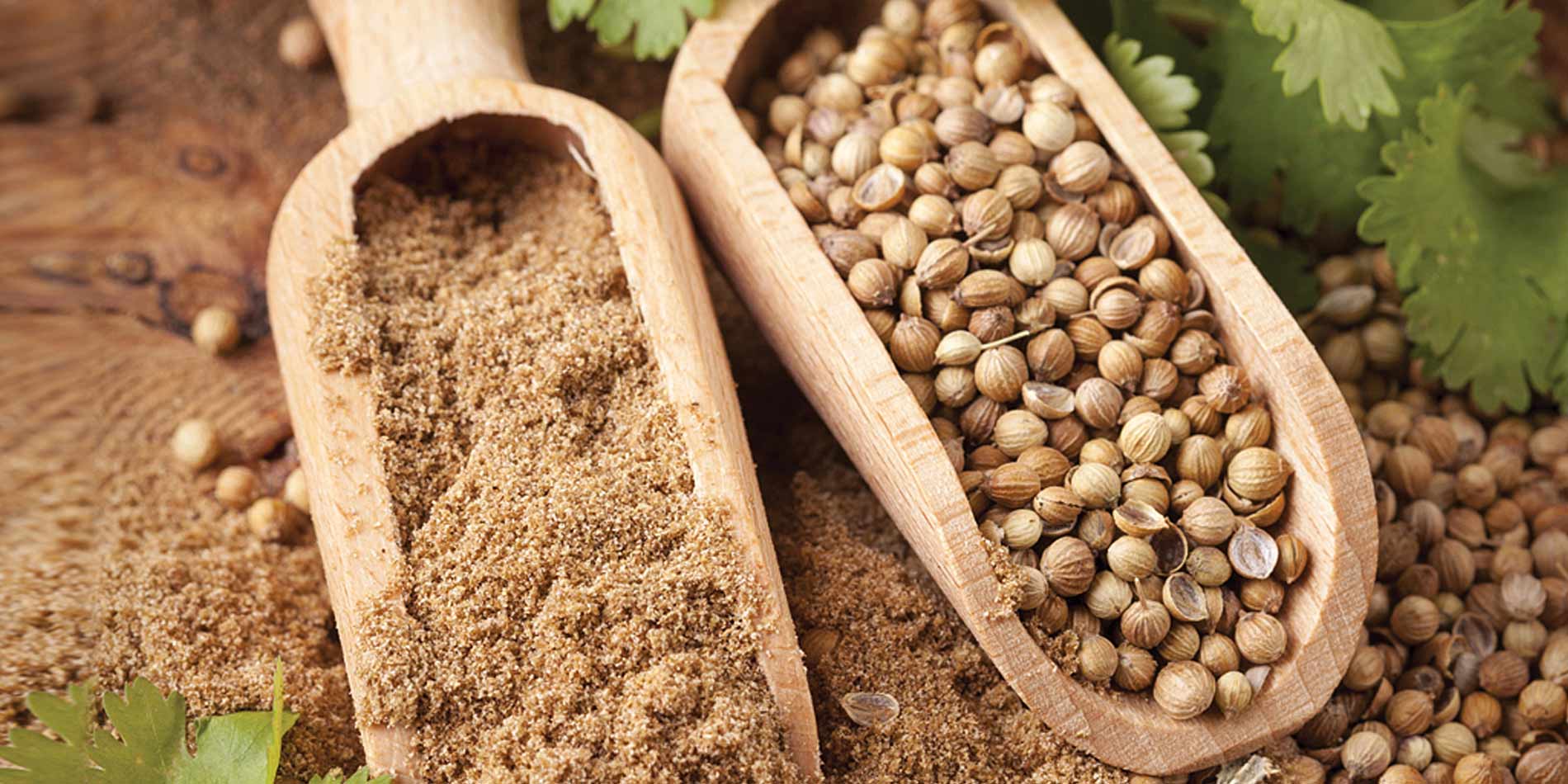 Bột ngò Ông Chà Và 500gram (Túi)