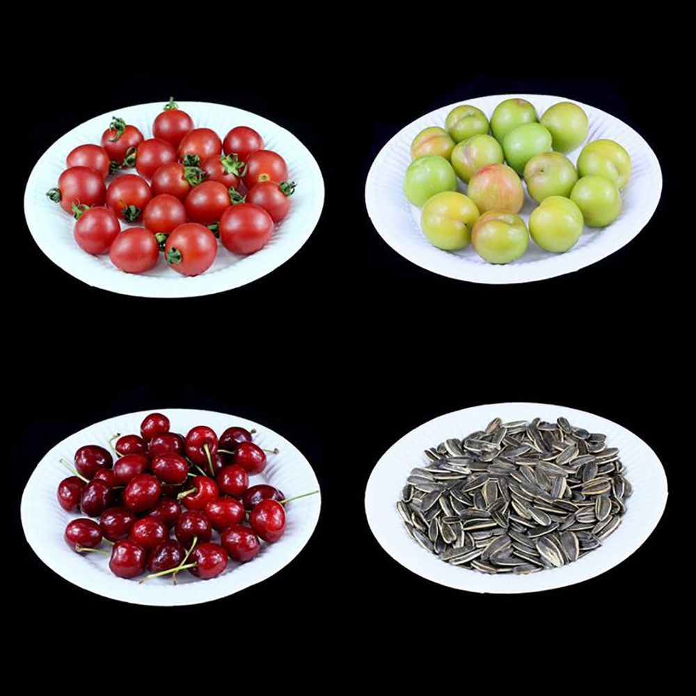10 Dĩa giấy trắng trơn cho sinh nhật dùng 1 lần