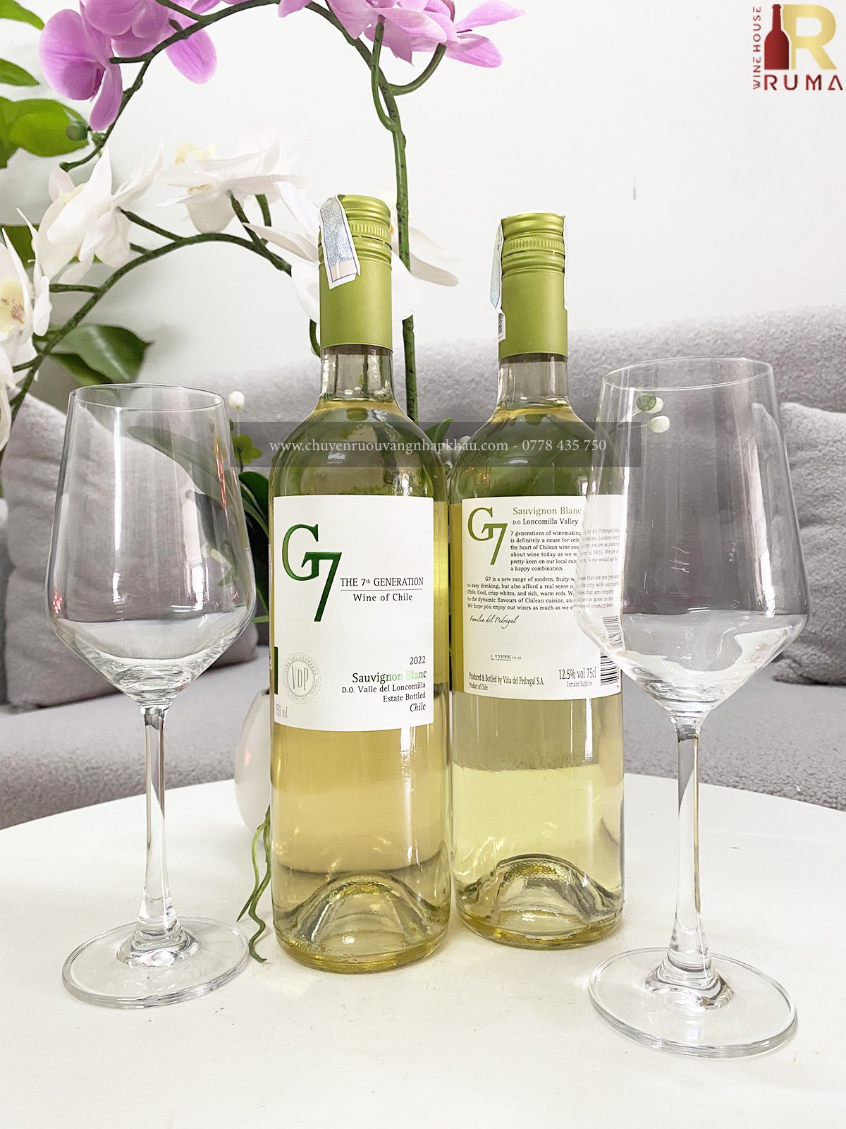 Vang Chile G7 Sauvignon Blanc (vang trắng)