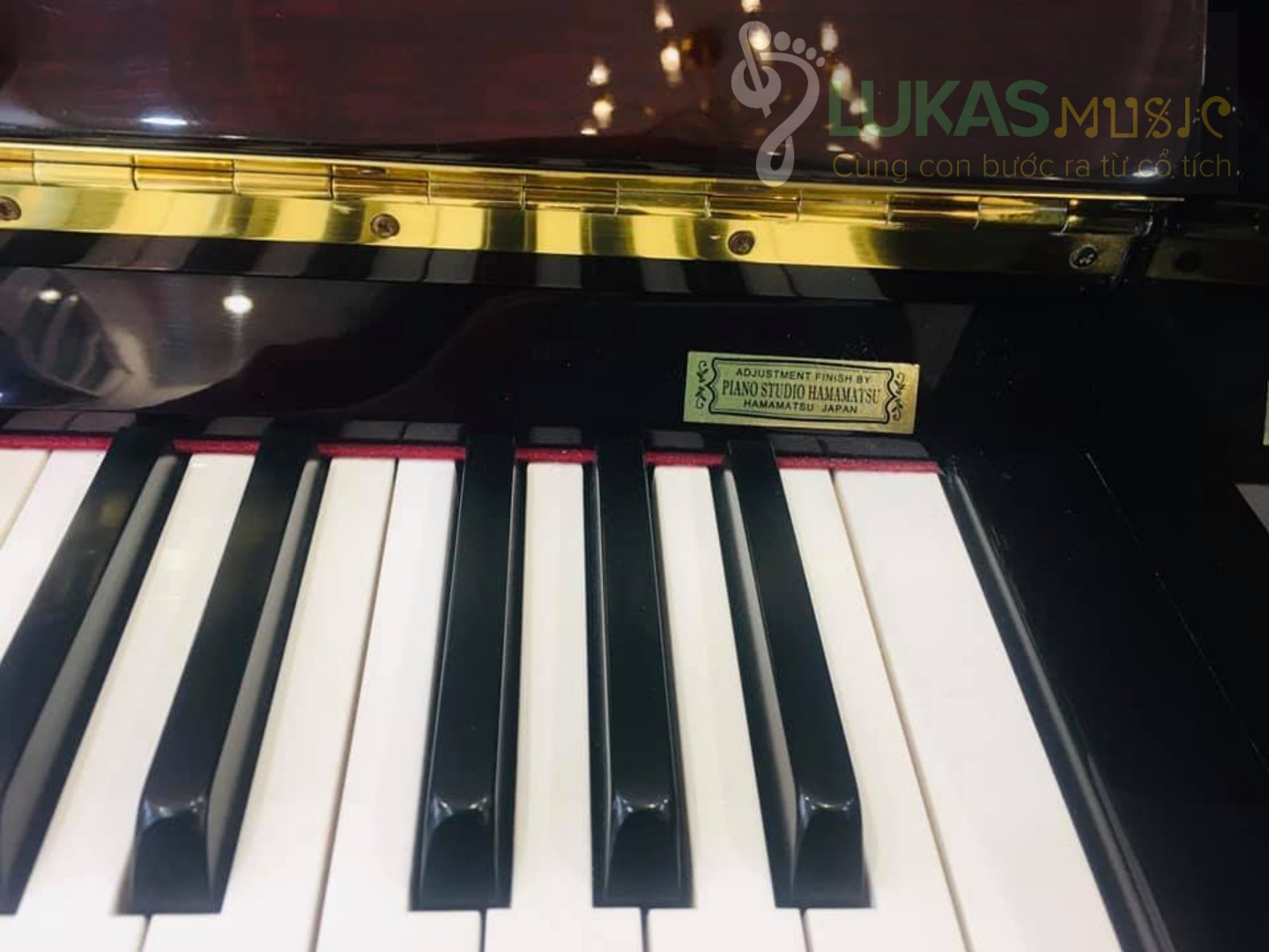 [HCM]ĐÀN PIANO STEINBURG - MP-119FCD