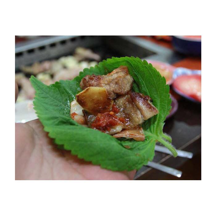 Hạt giống Lá Mè/Vừng Ăn nướng