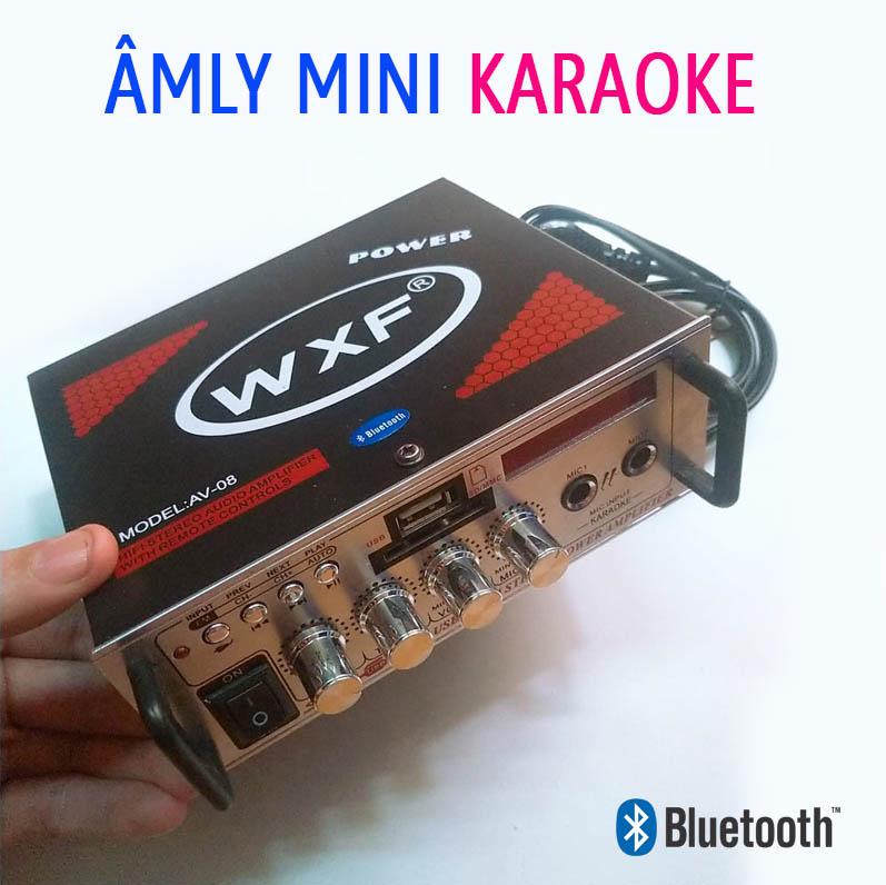 Âm Ly karaoke Bluetooth Amly Xe Hơi 2 MIC AV-08BT