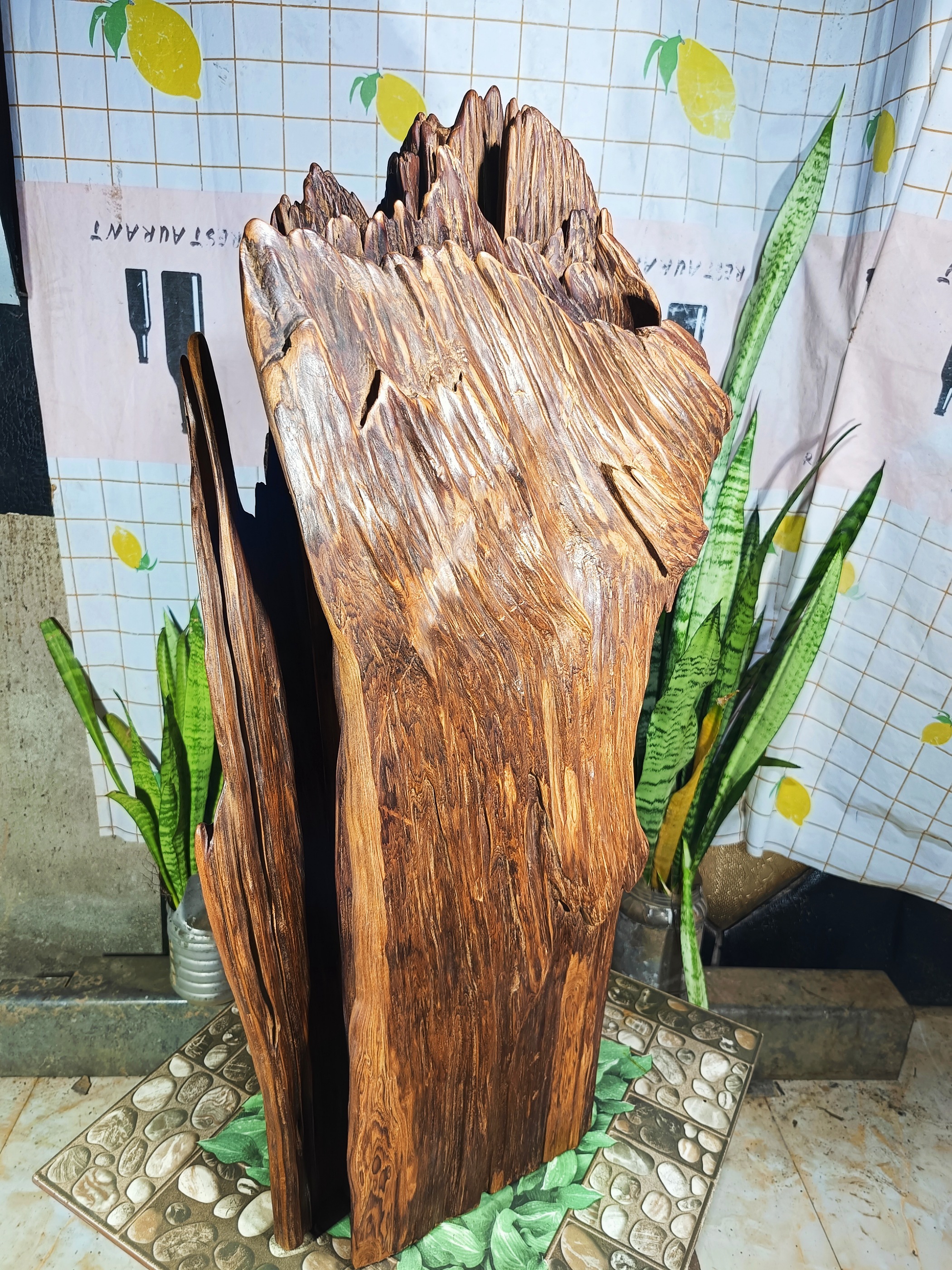 lũa gỗ thơm ngọc am đỏ hà giang
