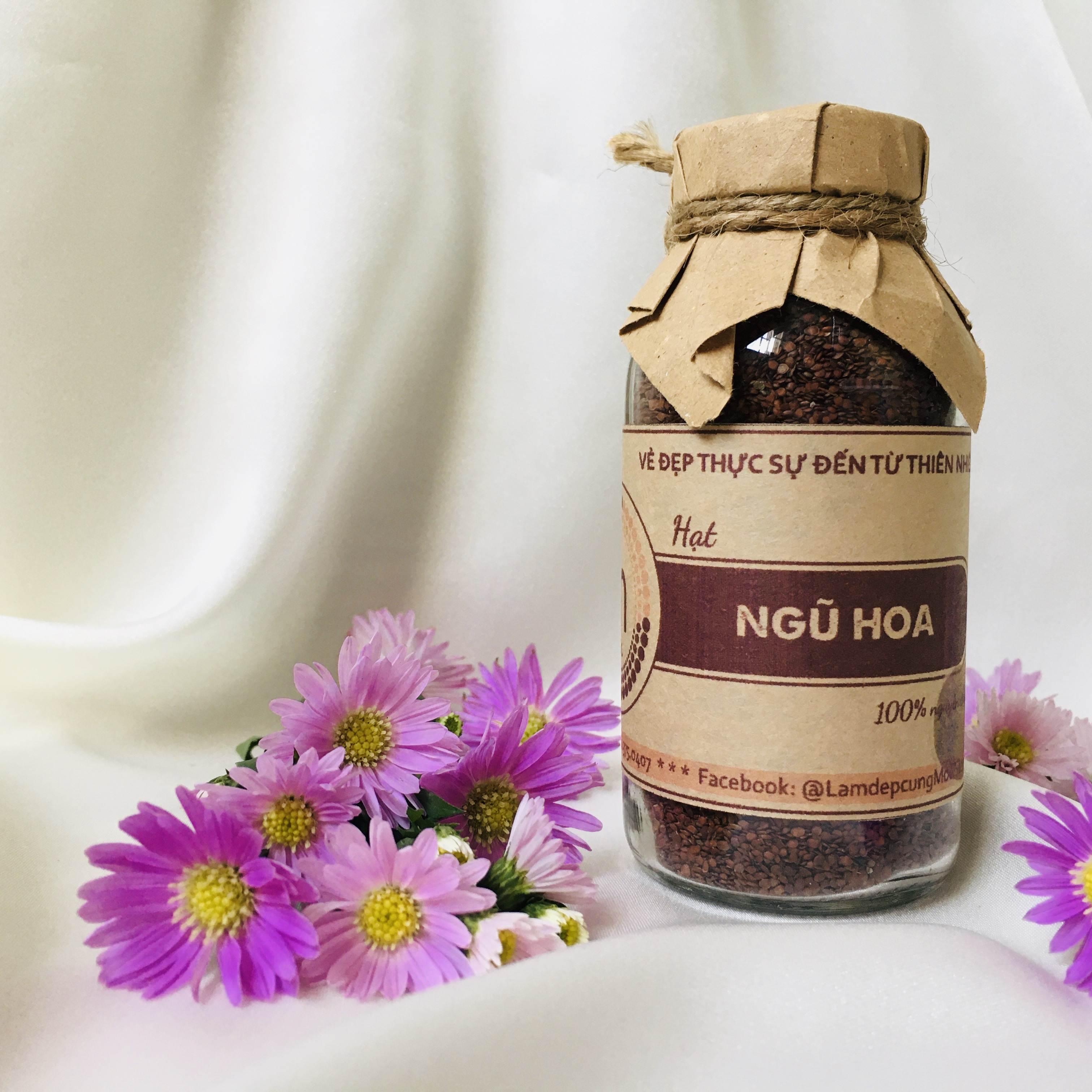 hygrophila salicifolia seeds mask