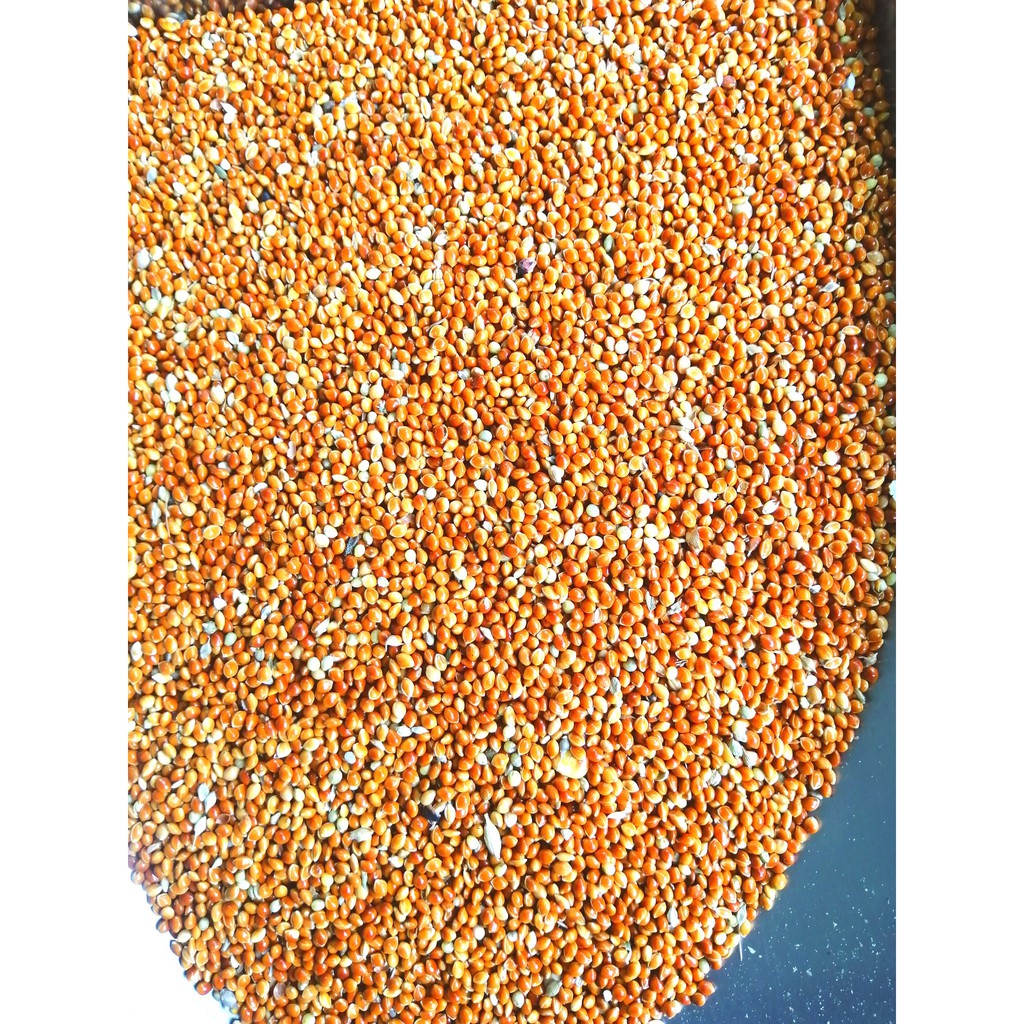 Kê đỏ bóng hạt lớn đóng gói 500g/1kg