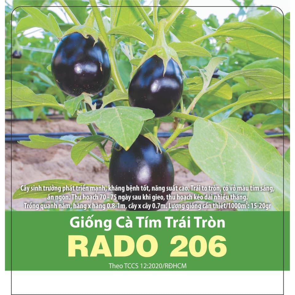 [HCM]Hạt giống RD Cà tím trái tròn Rado 206 gói 0.5gr