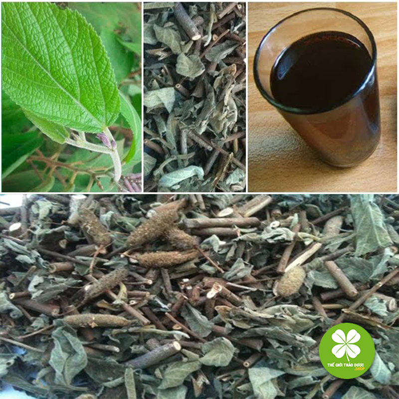 Com bo 3kg Cây an xoa chất lượng cao DTX009