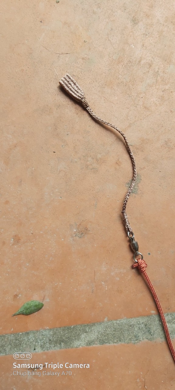 1 sợi xích chân gà rừng