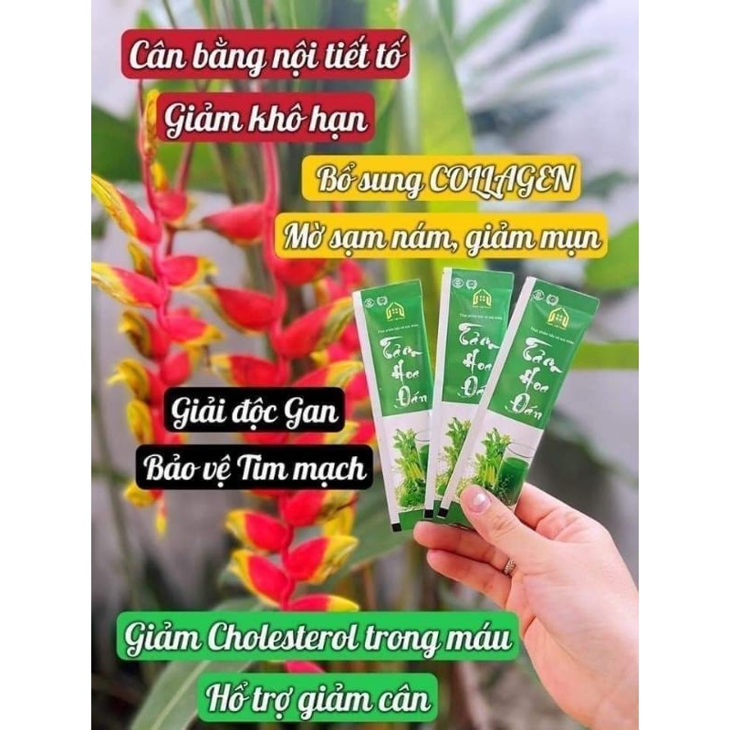 Tâm Hoa Đán - Diệp Lục Cần Tây