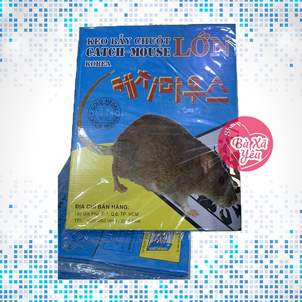 Combo 10 Miếng Keo Bẫy Chuột Lớn Catch Mouse Korea