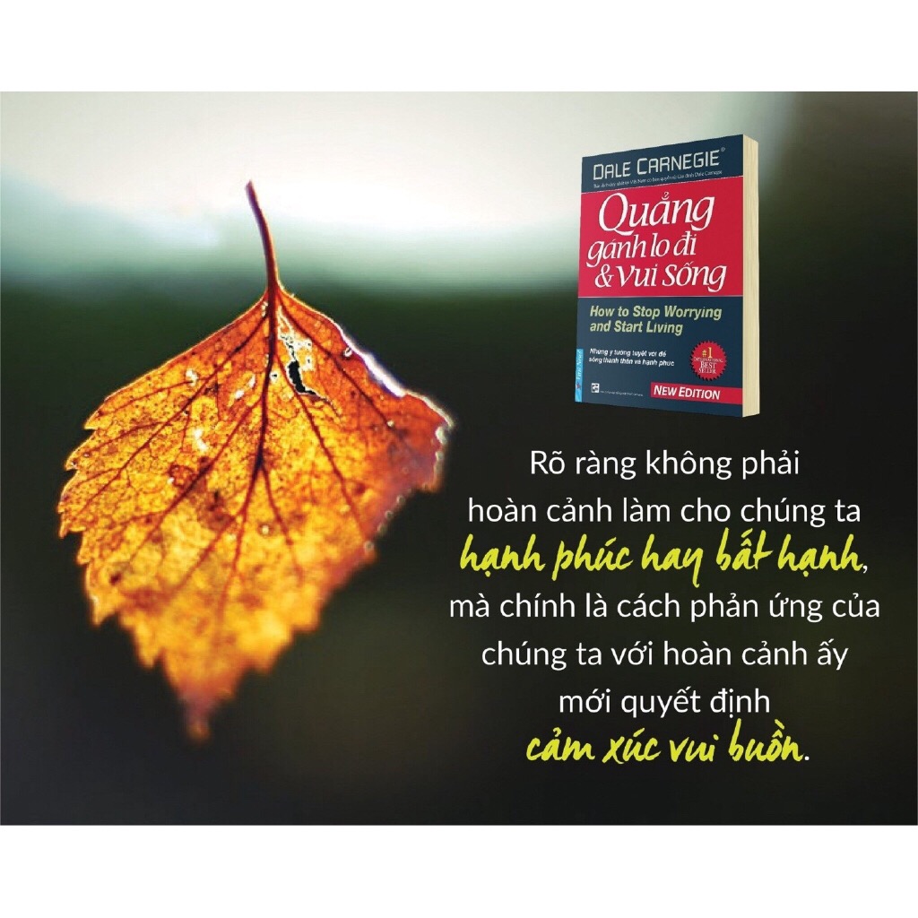 Quẳng Gánh Lo Đi & Vui Sống (Bìa mềm)