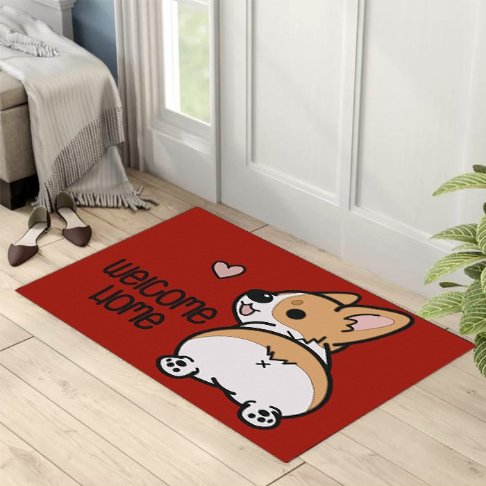 combo 2 thảm chùi chân 40x60