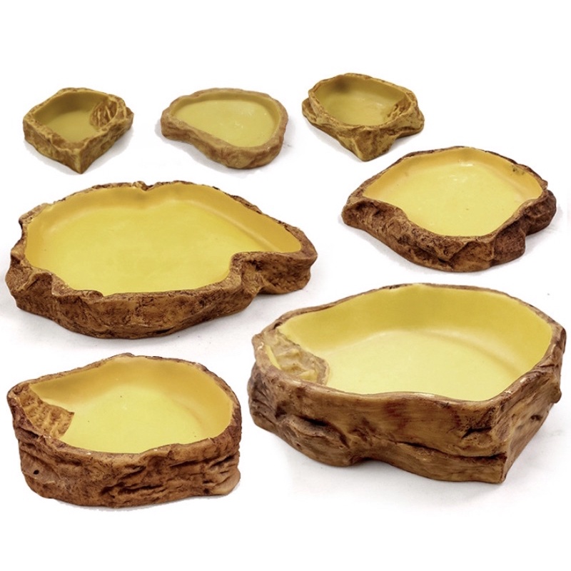 Bát ăn bò sát kiểu cổ đại - Bát ăn bát nước cho bò sát