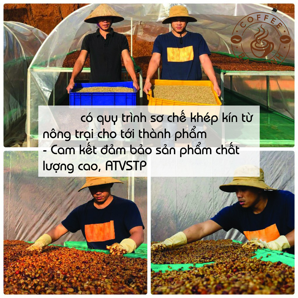 Cà Phê Nguyên Chất BL55 Thành Phần 50% Robusta+50% Arabica Rang Mộc Pha Phin, Pha Máy