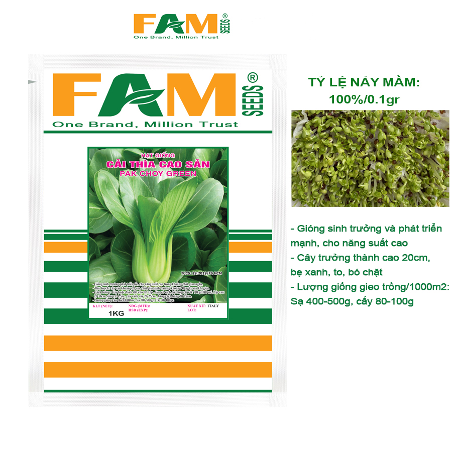 Hạt Giống Cải Thìa Cao Sản (Cải Chíp) FAM SEEDS - Nhập khẩu Italy, Nảy mầm đều, khỏe, Nhanh phát triển, Kháng bệnh tốt, Năng suất cao, Bẹ xanh lá xanh, Ăn giòn ngọt
