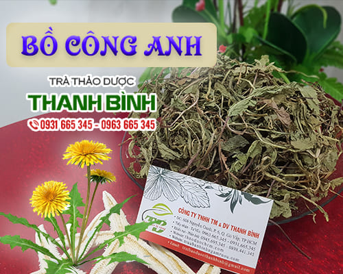 Cây bồ công anh khô 1kg - thảo dược thanh bình