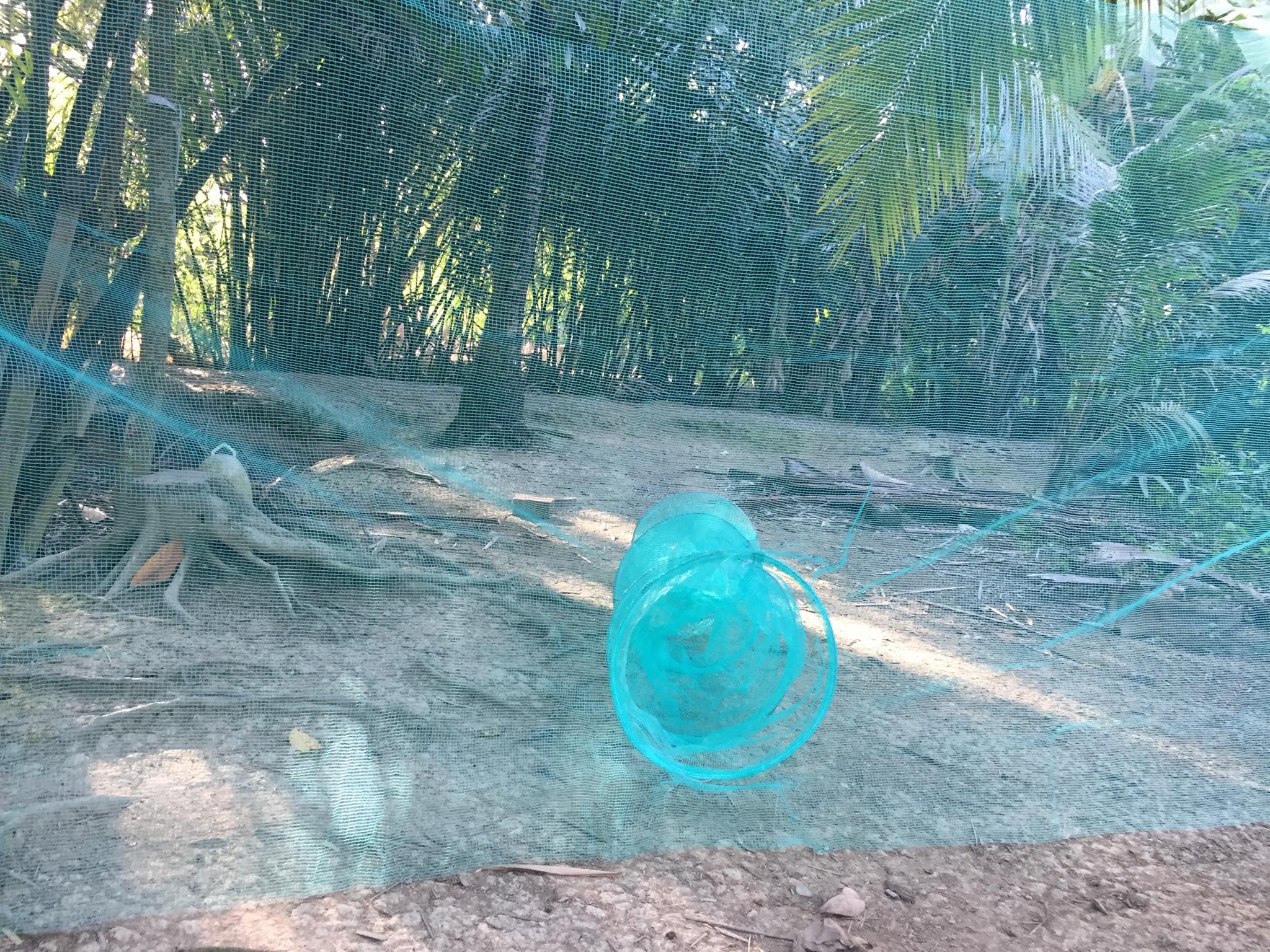 Dớn chặn sông, suối, rạch, ruộng 4m