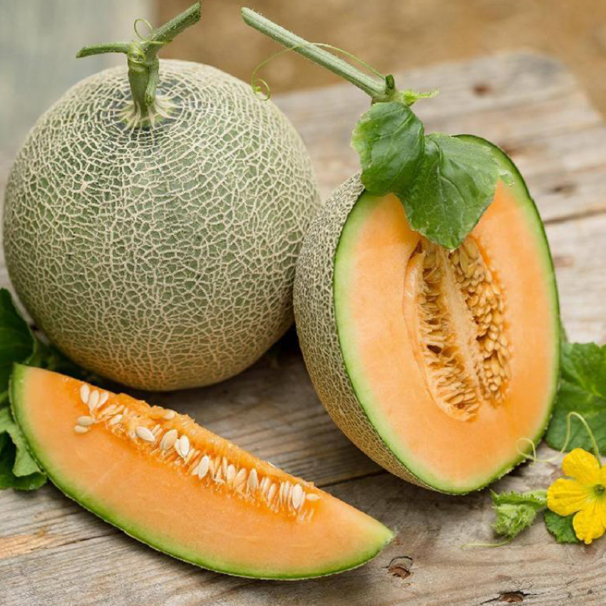 Hạt giống dưa tây (dưa lưới) Thuận Điền ( 20 hạt )