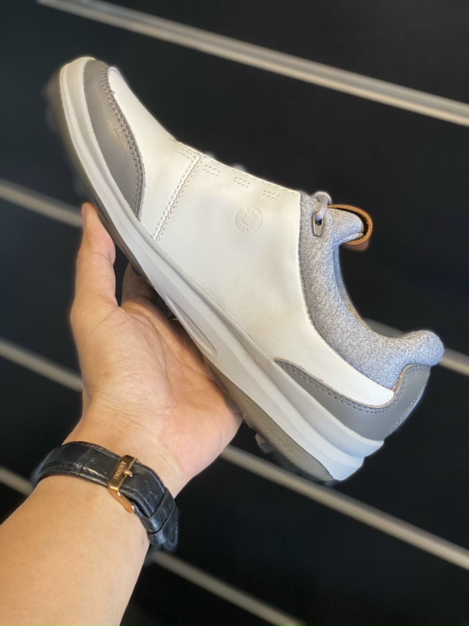 Giày Ecco Golf Biom