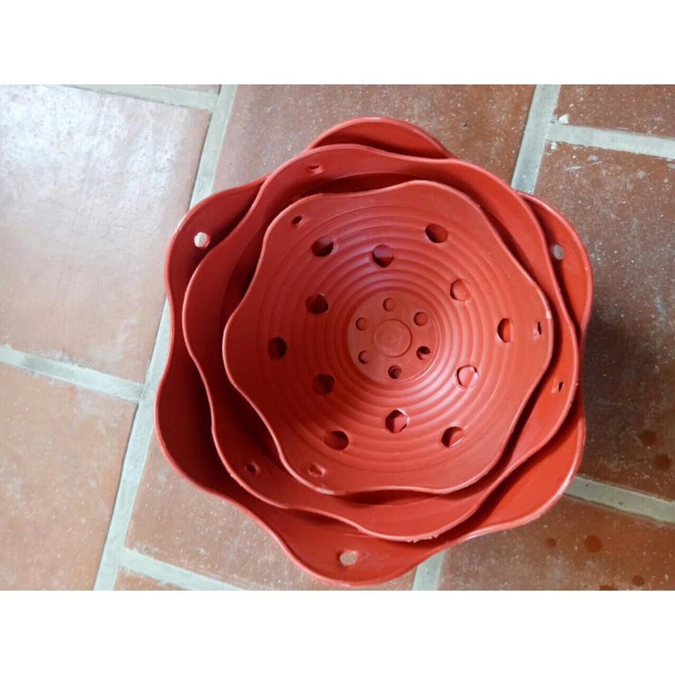 Chậu nhựa lượn bèo trồng lan đủ size