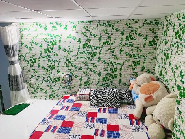 10m giấy dán tường gạch dây leo xanh ( cuộn dài 10m khổ rộng 45cm, giấy có keo sẵn)
