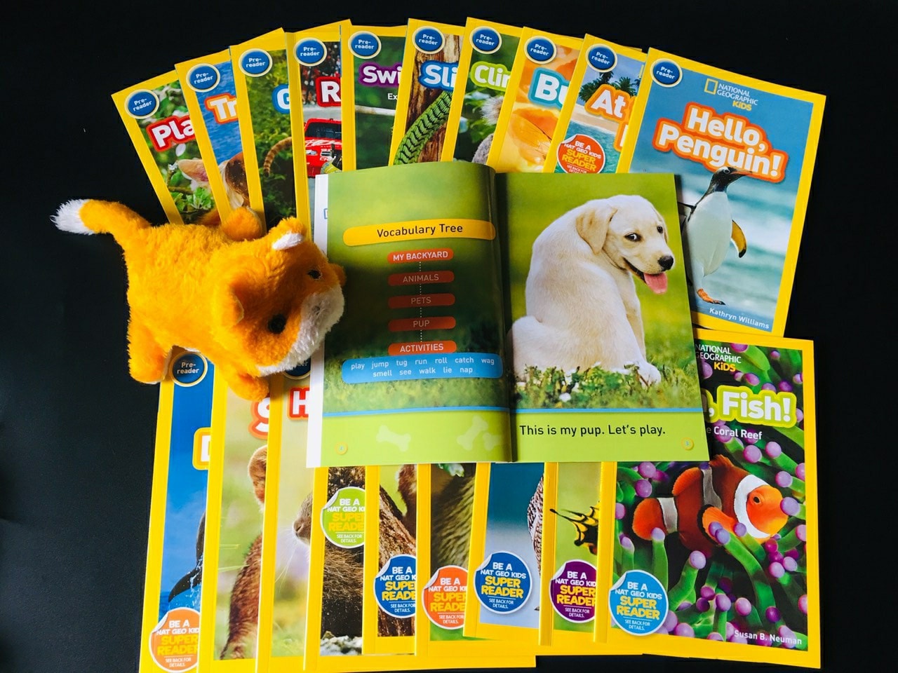 National Geographic Kids - Level PREK 20 cuốn