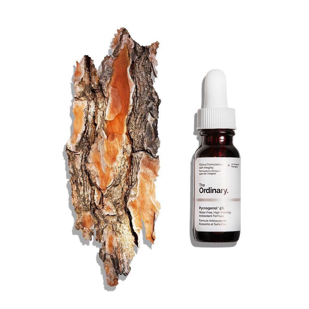 Tinh chất chống lão hoá, dưỡng da The Ordinary Pycnogenol 5% - 15ml (Bill Anh)