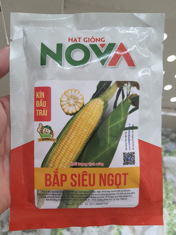 Hạt giống bắp siêu ngọt vàng ( bắpmỹ ) NOVA-  gói 50gram