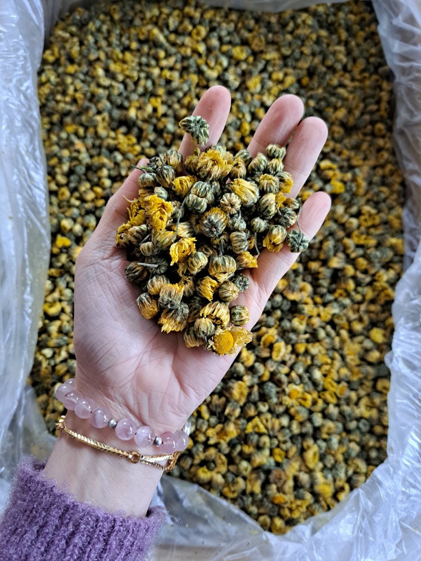 Trà Hoa Cúc Kim Cương 100G