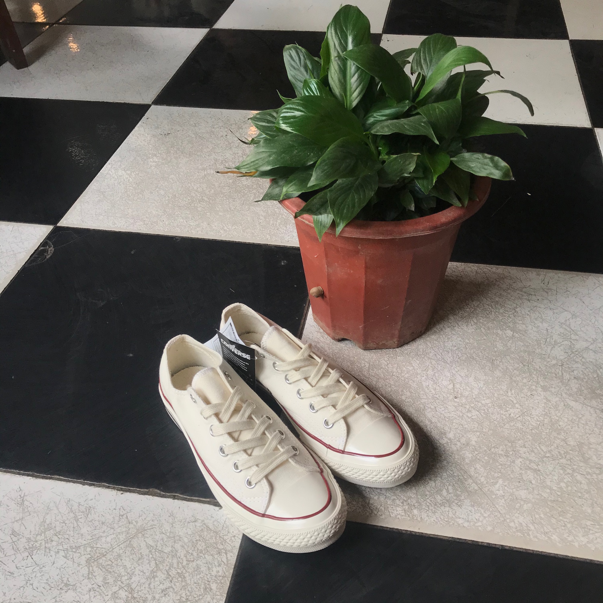 GIÀY CONVERSE 1970s TRẮNG THẤP CỔ (Mũi bóng, lót xanh)