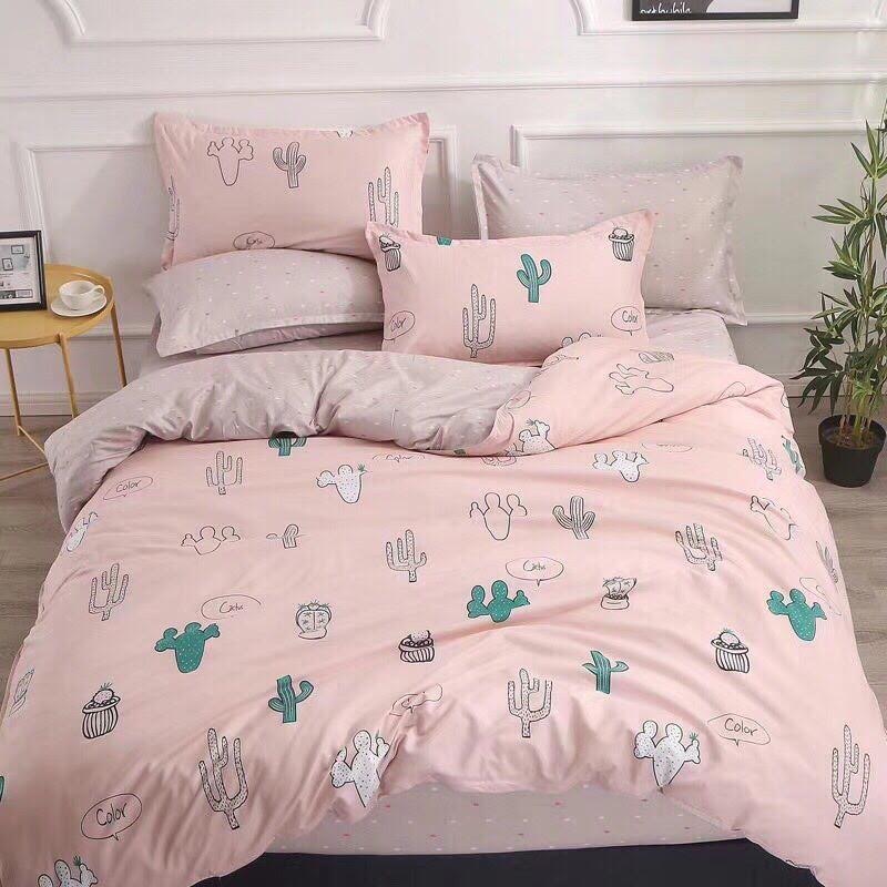 Bộ chăn ga gối xương rồng + vỏ ôm + ruột gối ôm + Ruột gối đầu