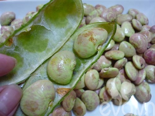 "Gói 10 Hạt " Hạt giống đậu ngự 100% nảy mầm