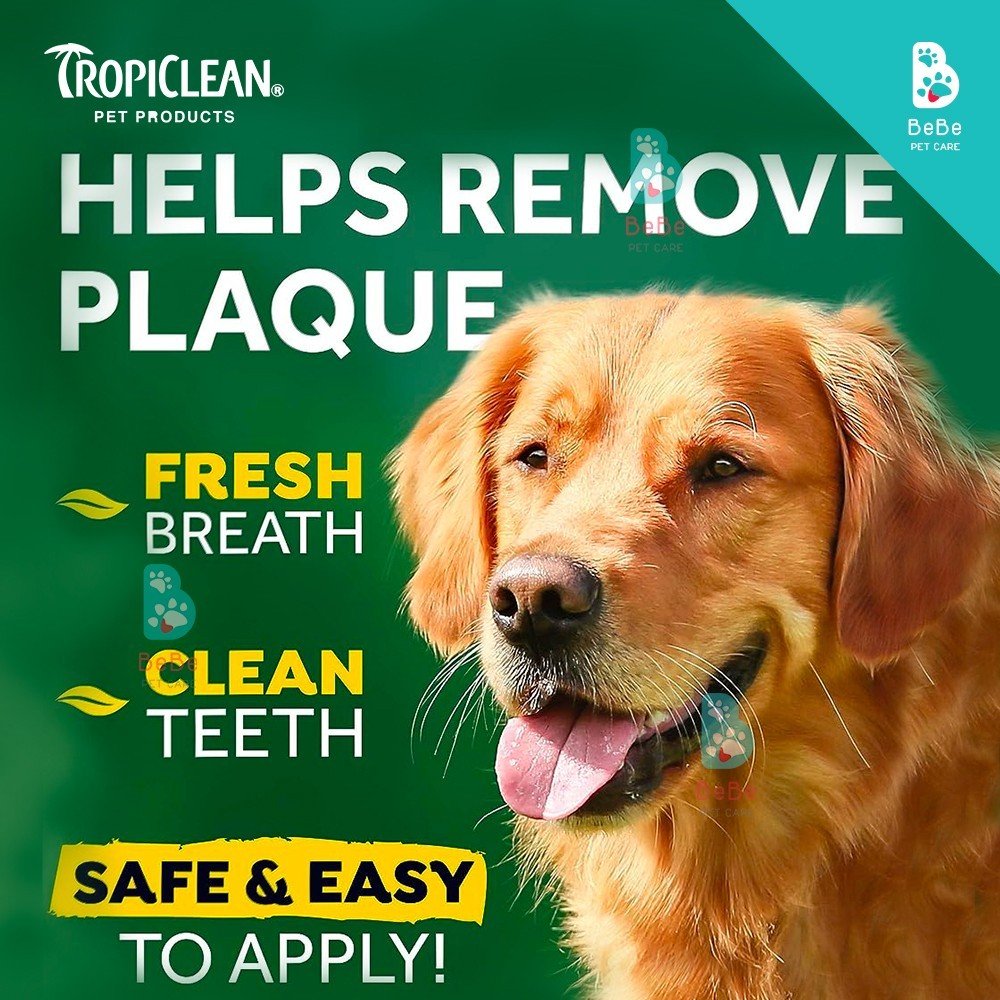 Gel Làm Sạch Răng Miệng TROPICLEAN Cho Chó Mèo