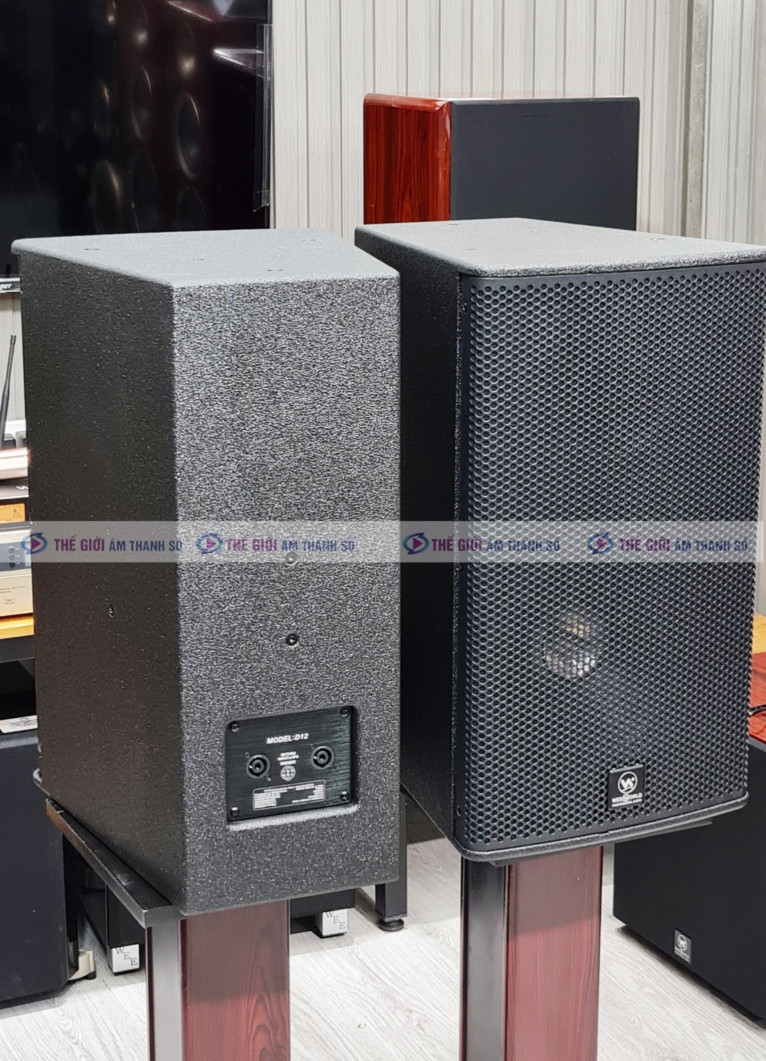 Loa Toàn Dải Weeworld D12