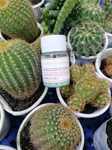 [HCM]Phân bón thúc rễ cho cây trồng
