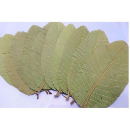 1kg lá ổi khô hàng loại 1
