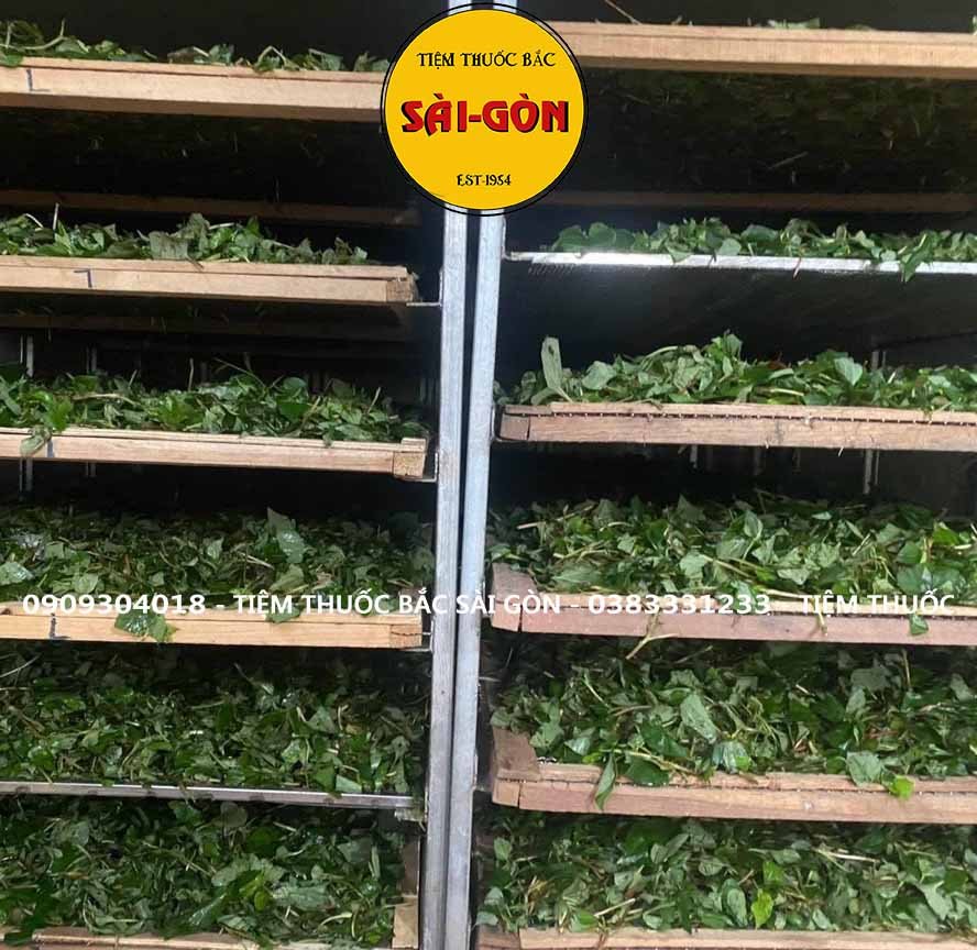 Bột Diếp Cá Nguyên Chất 100gram