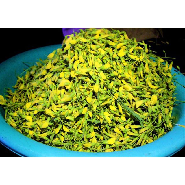 Hạt Giống Hoa Điên Điển (Sesbania sesban) 1Gram