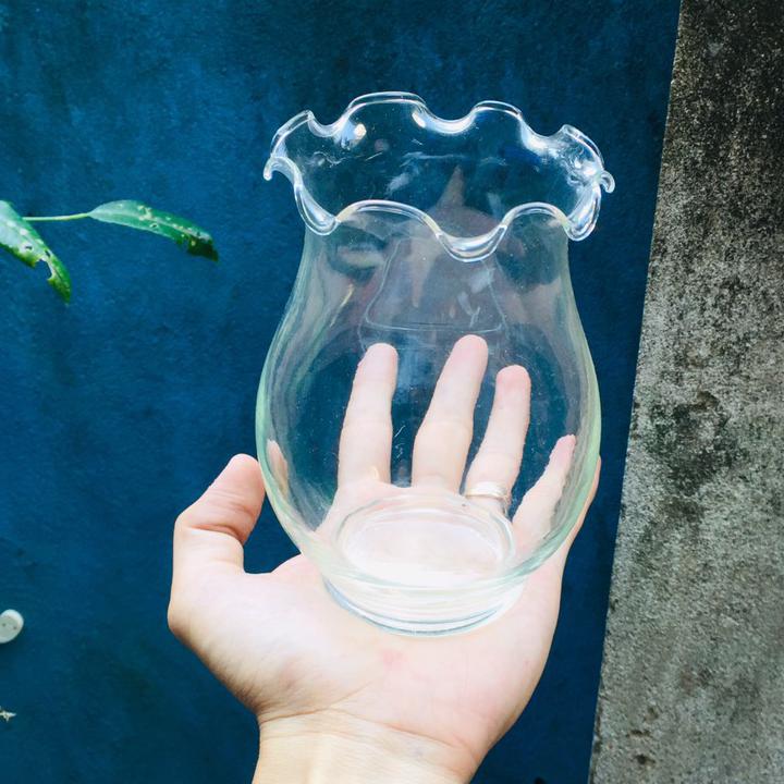 Chậu thủy tinh mini tai bèo , bể cá mini để bàn