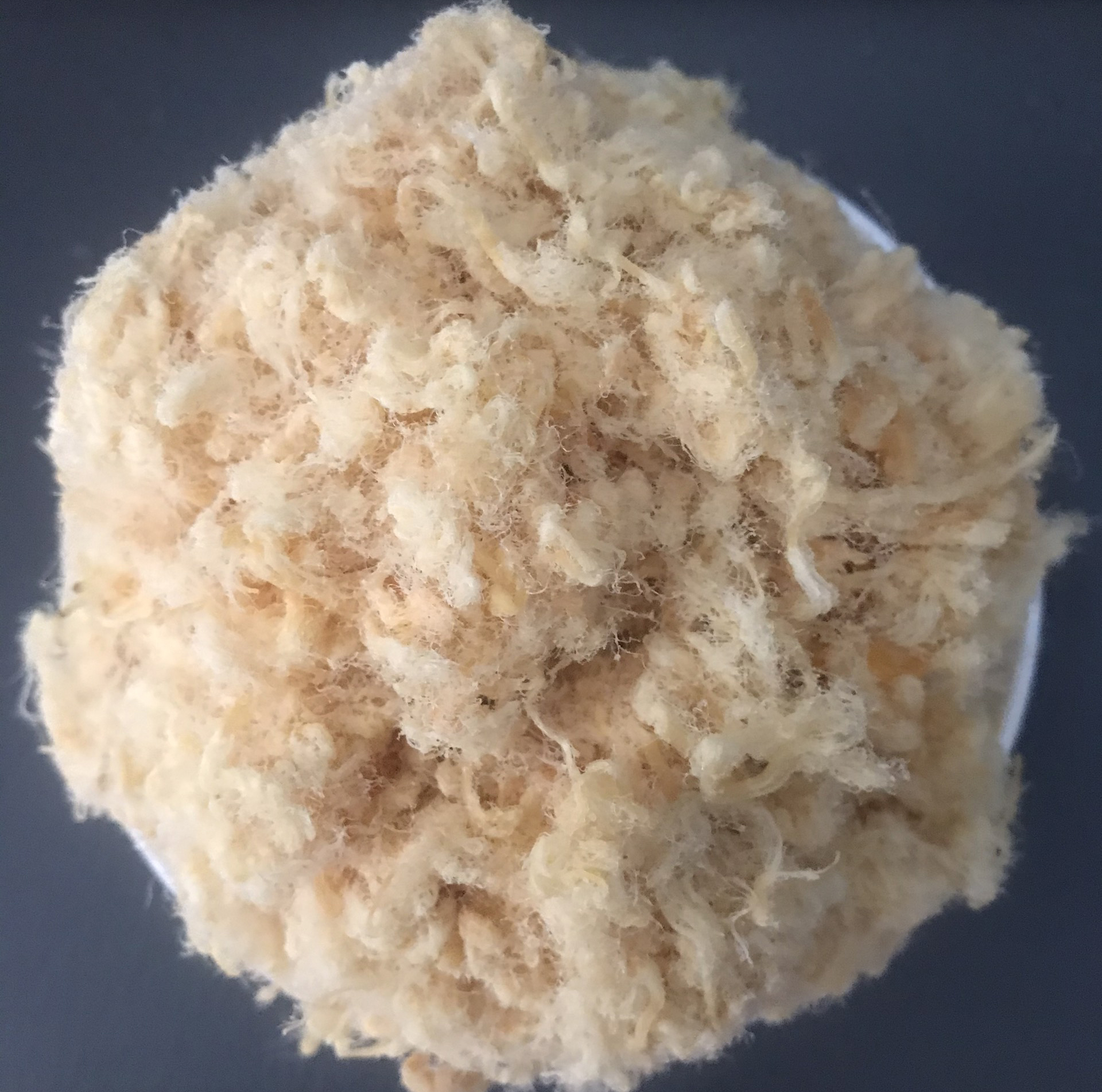 [HCM][GIÁ SỈ] Chà bông Xù - EnterFood