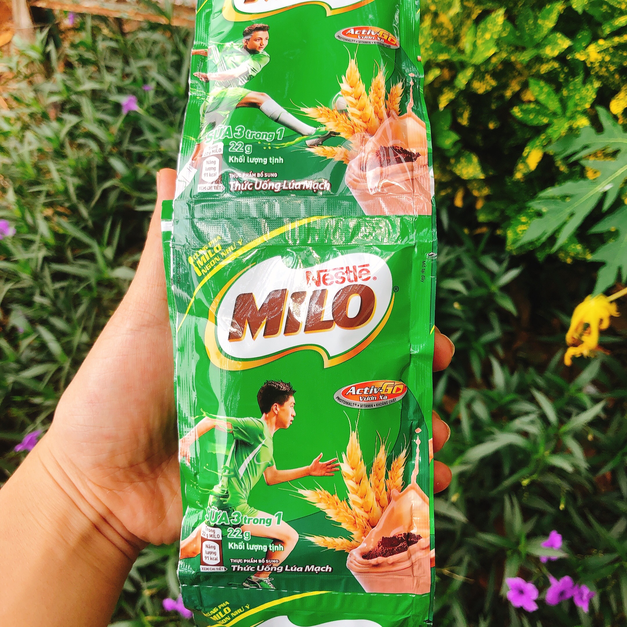 Dây 10 gói Milo Active Go lúa mạch 22g/gói