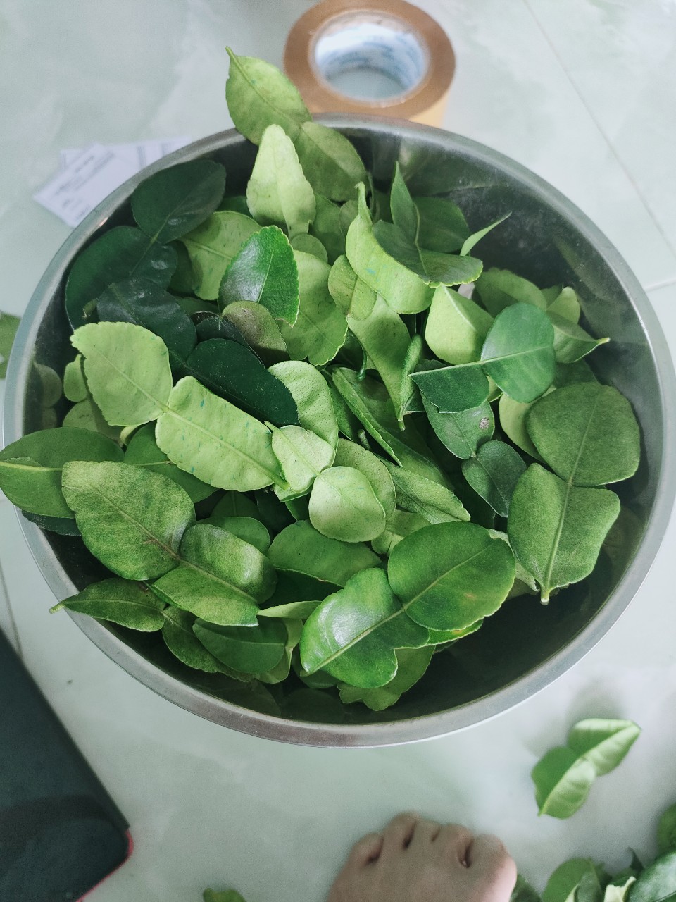 Combo 2kg lá chúc giá 300k. Lá tươi.